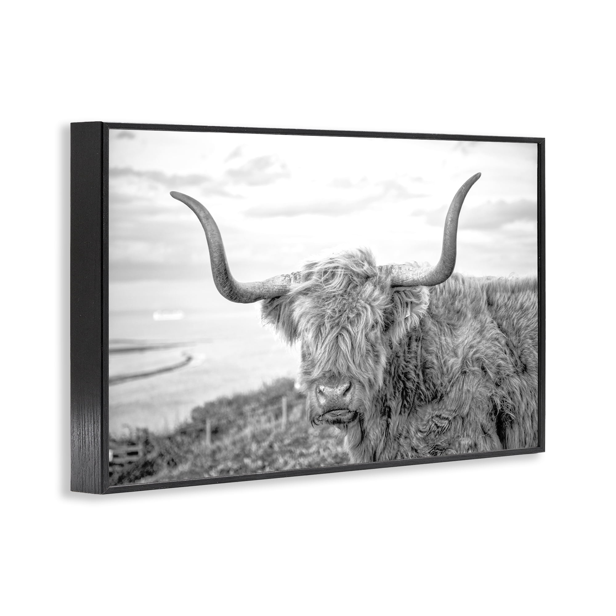 Stupell Industries Traditional Fuzzy Cattle Animals & Insects Photography Black Framed Art Print Wall Art, 24 x 16