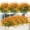 Orange, variant on Scidweet Artificial Fall Plants Outdoor, 16 Bundles Fake Grass Autumn Faux Plastic Plants Fall Decorations for Home Garden Porch, Patio, Yard Decor, Orange
