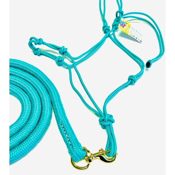 Average Horse 4 Knot Rope Halter & Lead Set (TEAL)