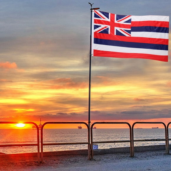3x5FT 2pc Combo Suit Hawaii Flag & Kanaka Maoli Flag Banner Brass Grommet Outdoor Pennant Flags