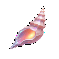 thumbnail image 3 of cartoon Seashell Stickers, Waterproof Seashell Sticker for Water Bottle Laptop Phone Cases Planner Skateboard Luggage Helmet Party Favor Decor, Ideal for Adults Teens Teacher Rewards, 3 of 9