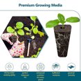 thumbnail image 4 of Plant Starter Kit, Grow Baskets 30 Set Reusable Seed Pod Kit Sponges  For Tomatoes, 4 of 8