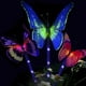 thumbnail image 5 of Mariposa Libre Del Del Césped de la lámpara LED Solar Decorativa Que cambia color, 5 of 9