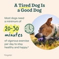 thumbnail image 3 of Juguete para perros WOOF Walkabout dispensador de premios tipo rompecabezas, pequeño, 3 of 9