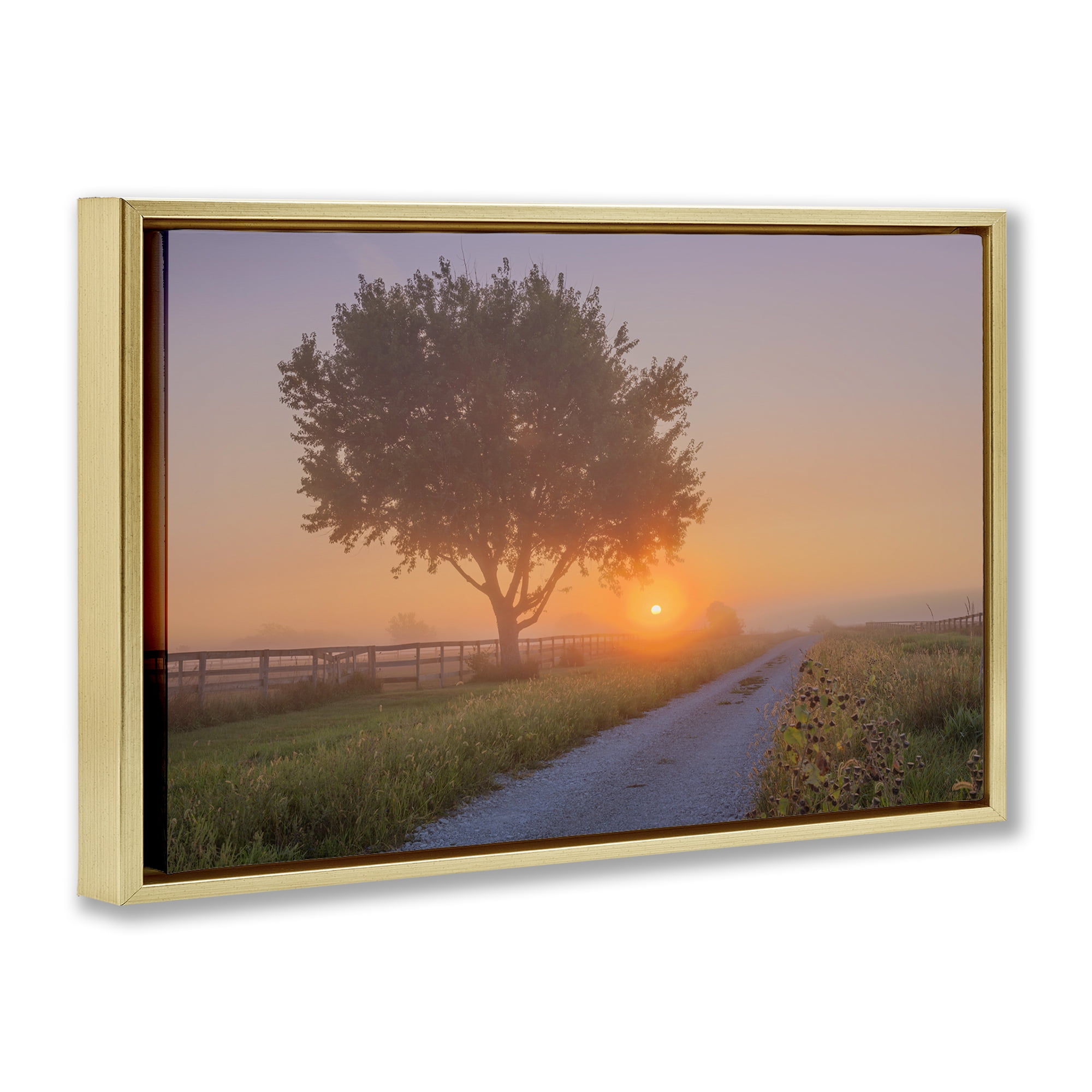 Stupell Industries Flower Lined Path Landscape & Nature Photography Gold Floater Framed Canvas Art Print Wall Art, 25 x 17