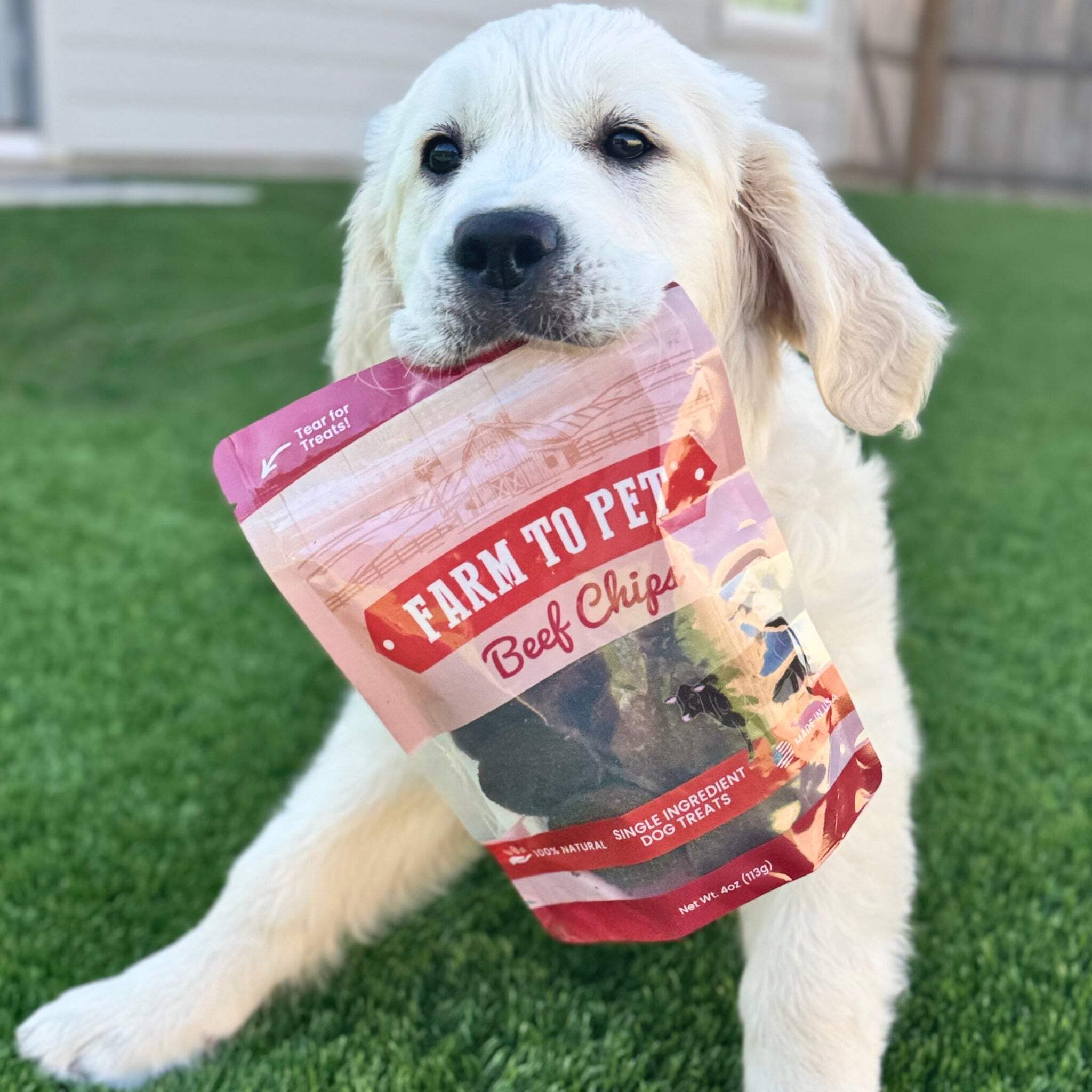 Farm To Pet Beef Chips Crunchy Dog Treats, 12 Oz photo 5