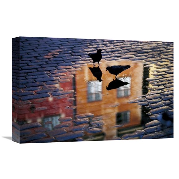Global Gallery Allan Wallberg,'Pigeons' Stretched Canvas Artwork