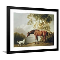 Art.com Bay Horse and White Dog Art Print by George Stubbs, Black Frame Wall Art, 40" x 32"