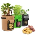thumbnail image 5 of 1-Pack 10 Gallon Potato Growing Bags with Flap & Handles, Heavy Duty Fabric Planters with Harvest Window for Vegetables, Tomatoes, and Fruits, Black, Green, Beige, 5 of 6