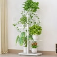 thumbnail image 3 of Corner Plant Stand Indoor,Metal Flower Pot Holder Shelf,Huisuilinss 4 Tier Metal Plant Shelf for Multiple Plants,Tiered Small Flower Stand for Patio Garden Balcony Living Room Bedroom, 3 of 7