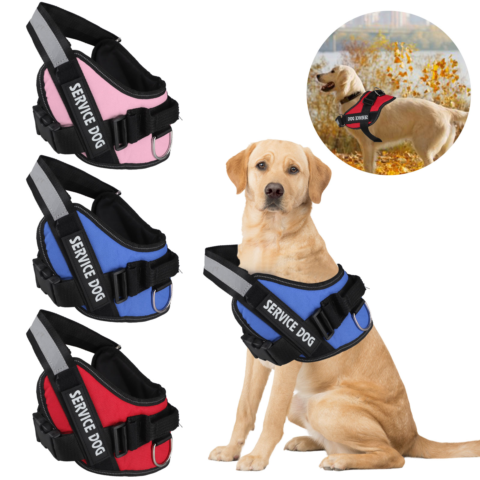 service dog vest walmart