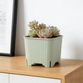 thumbnail image 4 of Weloille Mini Square Succulent Plastic Plant Pot 1 Pcs, Breathable Multi-Hole Stackable Nursery Planter for Succulent Cactus Desktop Balcony Garden Decor, 4 of 6