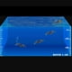 thumbnail image 3 of 10 Piezas de Cebos de Cangrejo Artificiales, SeñUelos de Cangrejo de SimulacióN 3D con Anzuelos Afilados, Trampas de Cebo de Cangrejo para Pesca en el Mar, Accesorios de Pesca, 3 of 5