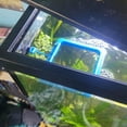 thumbnail image 3 of Anillo de AlimentacióN para Peces, CíRculo Flotante de AlimentacióN con Ventosa, FáCil de Instalar, Acuario Negro, 3 of 6