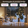 thumbnail image 4 of vidaXL Reindeers & Sleigh Christmas Decoration 160 LEDs 51.2" Acrylic, 4 of 12