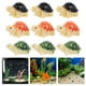 thumbnail image 2 of KAKOWELY 15 figuras de tortuga en miniatura, decoración para pecera, animales del océano., 2 of 4