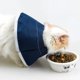 thumbnail image 4 of Collar de cuello suave Pamolo para mascotas médicas, 4 of 5