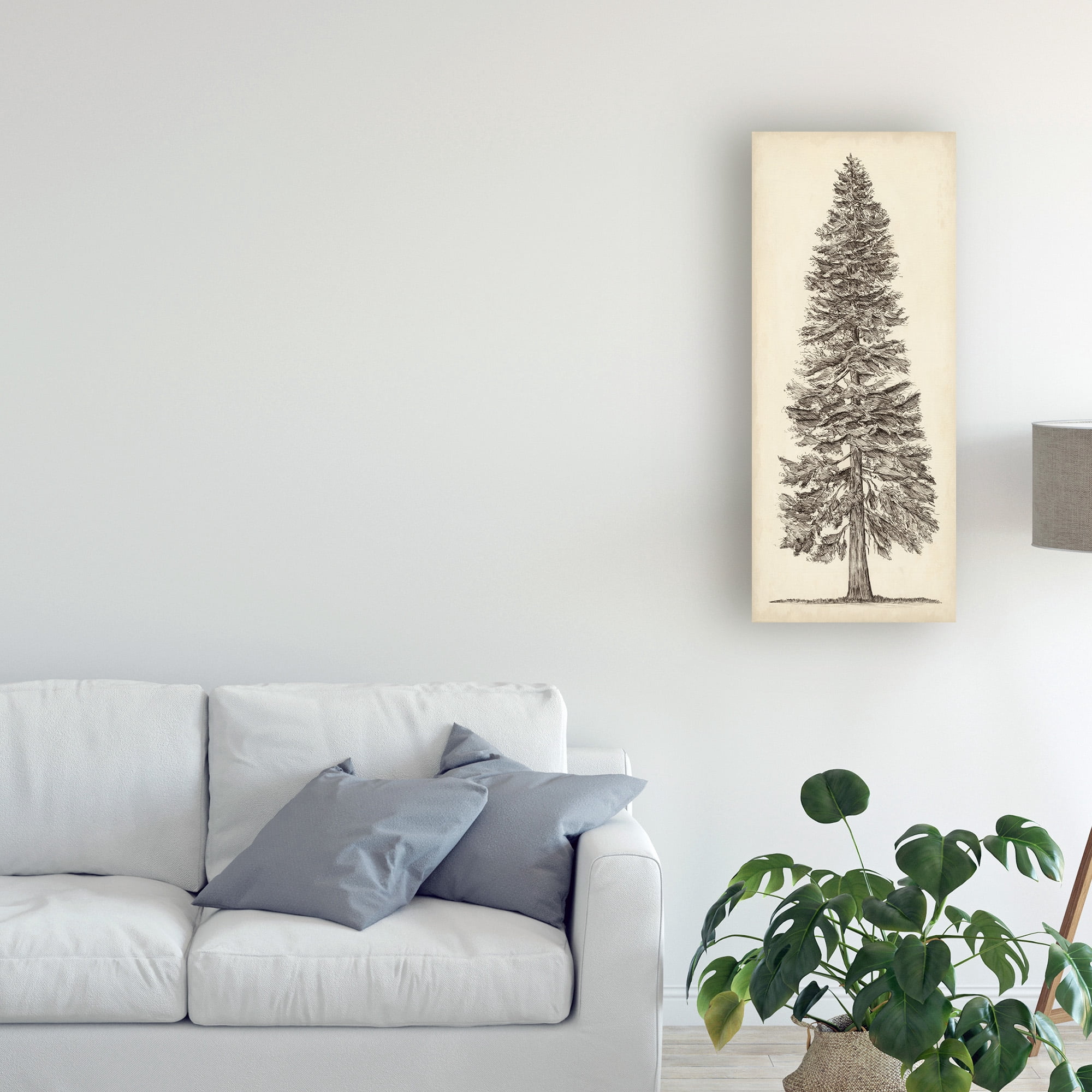 Trademark Fine Art 'Pacific Northwest Tree Sketch I' Canvas Art by Melissa Wang