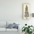 thumbnail image 3 of Trademark Fine Art 'Pacific Northwest Tree Sketch I' Canvas Art by Melissa Wang, 3 of 3
