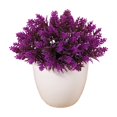 thumbnail image 2 of Mini Artificial Potted Plant, Small Fake Plant Desk Decor with White Planter, Realistic Faux Greenery Tabletop Ornament for Home Office Shelf and Bathroom Decor, 2 of 7