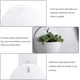 thumbnail image 5 of 3 macetas de plástico para colgar en la pared, macetas de flores de pared de media luna para plantas de aire, hierba suculenta viva (blanco) TUNC Sencillez, 5 of 5
