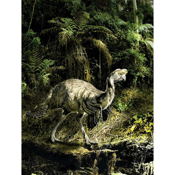 citipati dinosaur