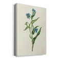 thumbnail image 2 of Flowers of the Seasons V Premium Gallery Wrapped Canvas - Ready to Hang, 2 of 9