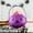 Purple PP, variant on Iumwxz Organizers and Storage Halloween Pumpkin Bucket 1pc Small Plastic Pumpkin Bucket for Kids Pumpkin Bucket Pumpkin Pail Halloween Candy Bucket Halloween Pumpkin Basket Shelf White Plastic