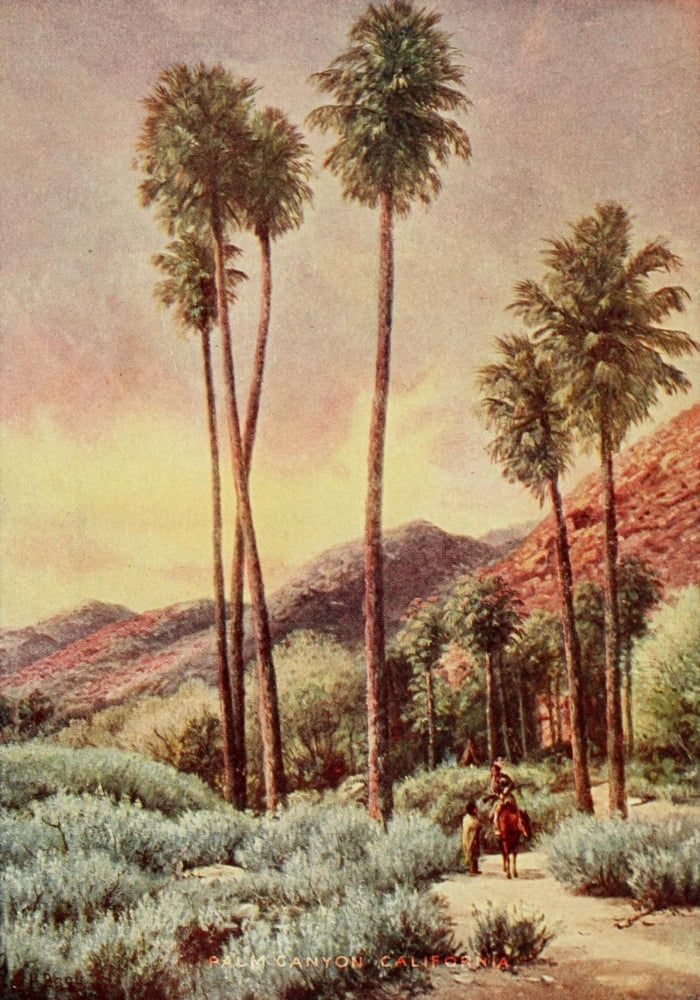 On Sunset Highways