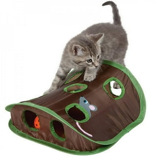 Cat Enrichment Toys for Indoor Cats, Whack a mole cat Toy with cat  Scratching pad, Cat Cardboard Box to Make Lots of Fun, cat Interactive Toy  to Relieve Boredom and Train IQ.