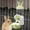 Green-Free Size/GN, variant on Tgbvmt Hanging Cage Pet Water Dispenser Plastic Automatic Water Feeder Large Capacity Transparent Leak Proof Detachable Clean For Rabbits Cats Dogs Hamsters Small Medium Pets Home Use Favors