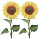 thumbnail image 1 of 2 estacas de girasol acrílicas para jardín, decoración de girasoles, estacas de flores, letreros de jardín, 1 of 7