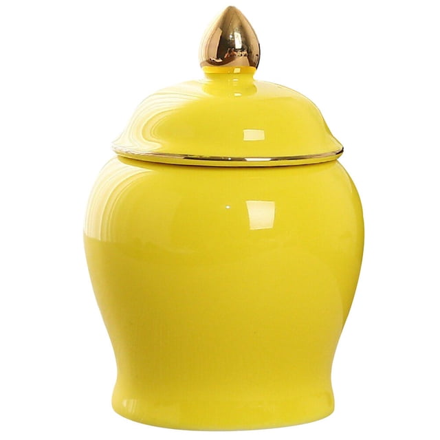 Miangastore Household Tea Leaf Storage Can Canister Ceramic Storage Jar Tea Canister Storage