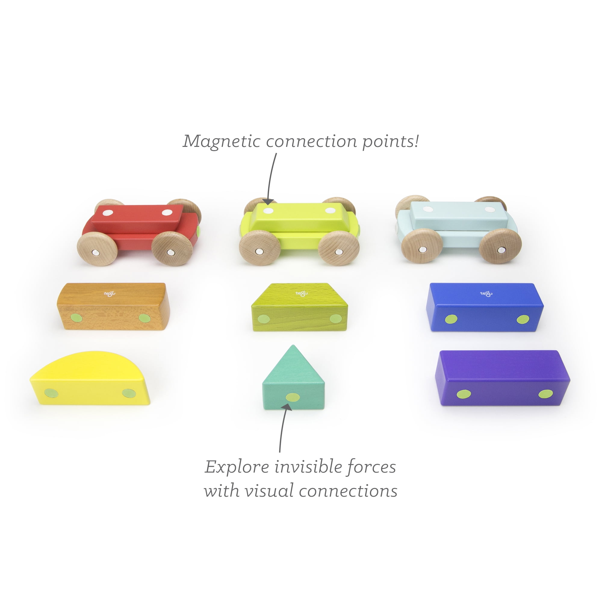 tegu magnetic train