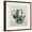 Brown Frame, variant on Art.com Picasso Vase II Art Print by Aimee Wilson, 16" x 16"