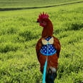 thumbnail image 2 of LULULION Chicken Accessory Chicken Harness Wear-resistant Blue 1Pcs, 2 of 5