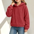 thumbnail image 4 of Mitankcoo Girls Teddy Fleece Hoodie Kids Cute 3D Bear Ear Hooded Pullover Sweatshirt with Pockets for Fall Winter 4-15Y, 4 of 8