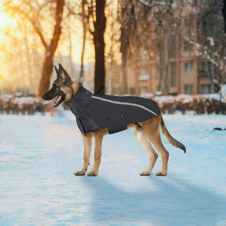 German shepherd jacket sale