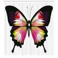 thumbnail image 3 of Ambesonne Swallowtail Shower Curtain, Lively Insect, 69"Wx70"L, Multicolor, 3 of 3