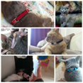 thumbnail image 2 of Collar de gato rojo con dije en forma de corazón y artículos para mascotas de cristal, adecuado para gatitos y perros pequeños, 2 of 5