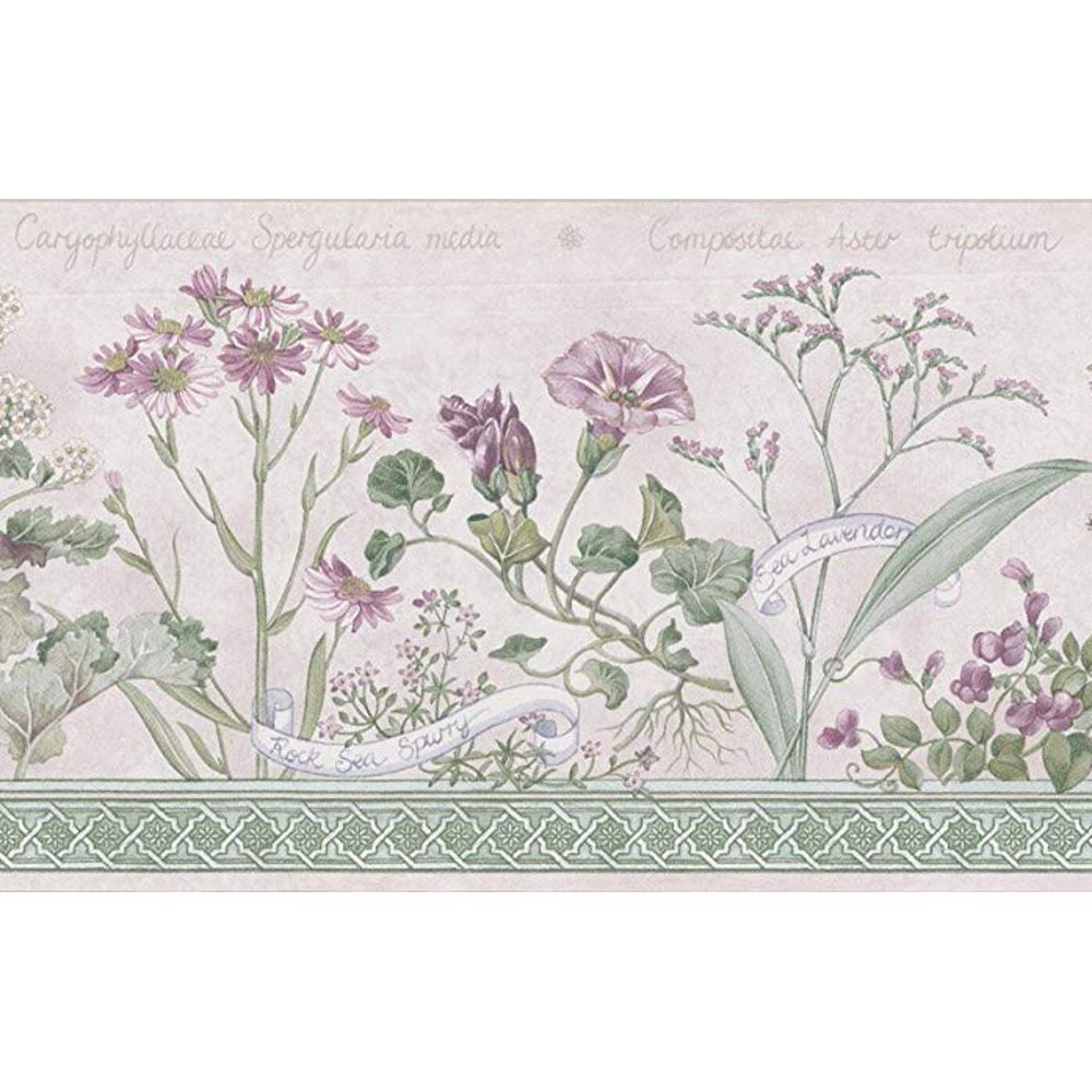 879839 Floral Botanical Wallpaper Border 92528FP