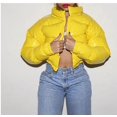 thumbnail image 1 of Autumn and Winter Leather Cotton Coat Solid Color Mirror Zipper Coat Large Size Multi Color, 1 of 5