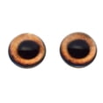 thumbnail image 3 of High Domed Light Brown Dog Glass Eyes, 3 of 5