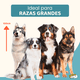 thumbnail image 3 of Casa Térmica para Perros de Raza Grande con Piso Elevado | Plástico Reforzado Impermeable con Protección UV | Puerta Metálica Abatible y Techo con Drenaje Rápido | Gris, 3 of 7