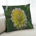 thumbnail image 1 of Ahgly Company Plants Flower Coussin Intérieur, 18 Pouces par 18 Pouces, 1 of 6