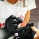 thumbnail image 2 of 50 limas de esponja para uñas, limas de manicura, mini bloques de esponja para uñas para salón, 2 of 7