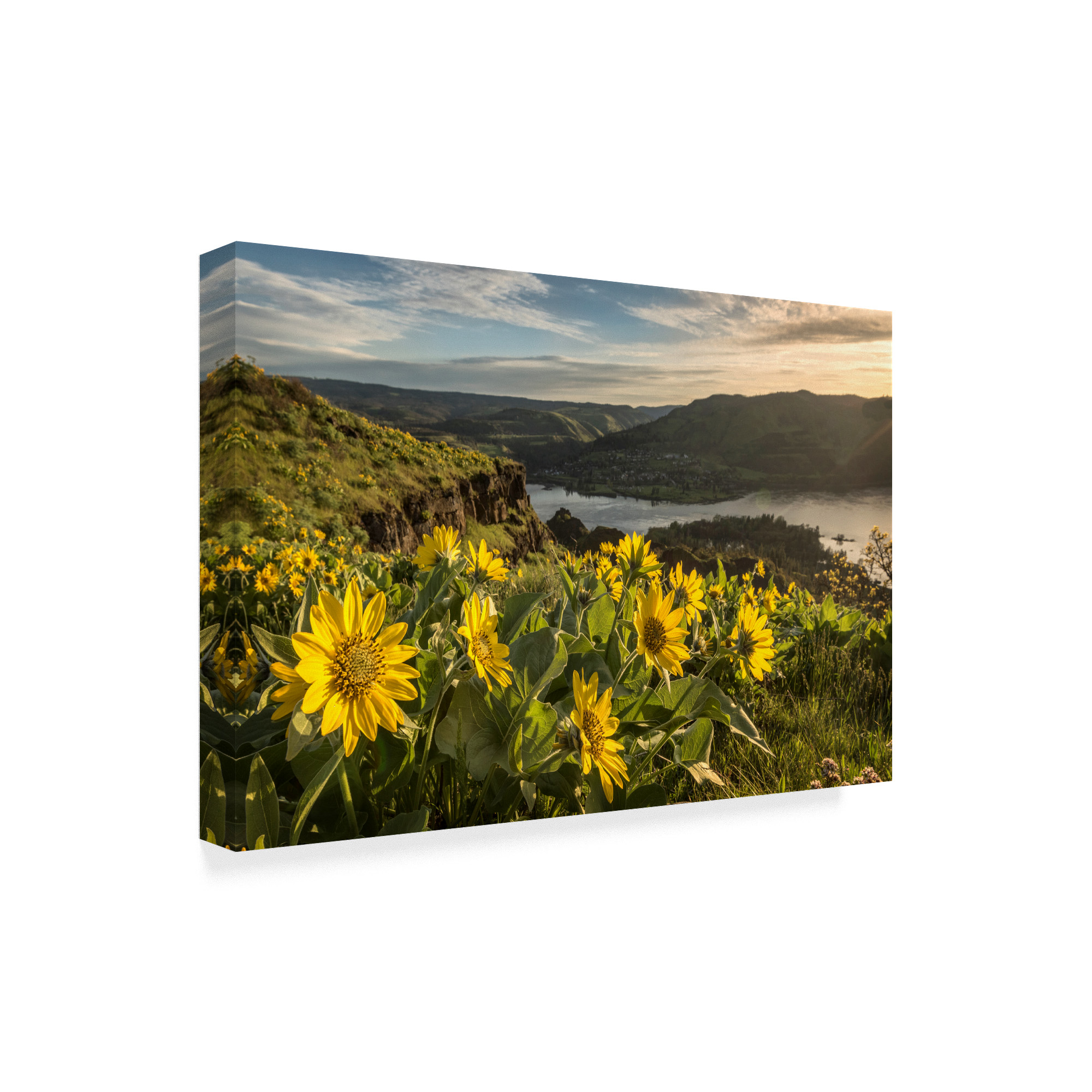 Trademark Fine Art 'Soaking Up the Sun' Canvas Art by Danny Head