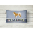 thumbnail image 2 of Carolines Treasures BB8340PW1216 Icelandic Sheepdog Canvas Fabric Decorative Pillow, Blue, 12H x16W, multicolor, 2 of 3