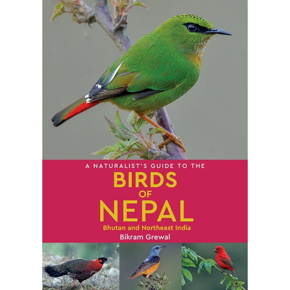 Naturalists' Guides: A Naturalist's Guide to the Birds of Nepal (Paperback)