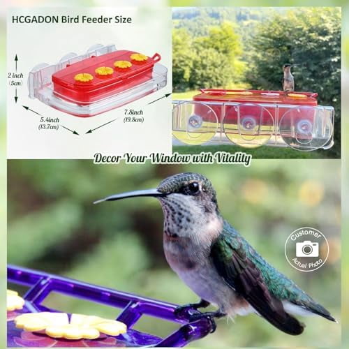 2 Pack Window Hummingbird Feeder with Strong Suction Cup, Plastic Hummingbird Feeders for Outdoors, Built-in Moat,Easy to Clean and Refil (10oz) (2, Red)